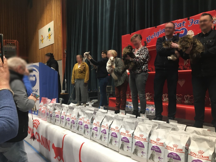 Kattenshow 11 Februari 2024 - Arendonk
