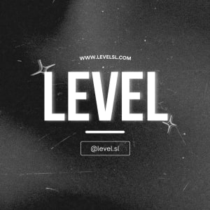 Level