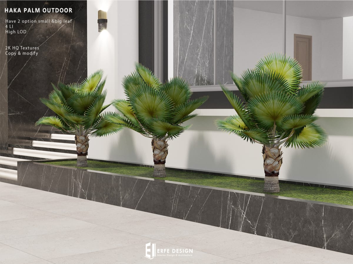 Haka Palm Tree Outdoor 4 LI