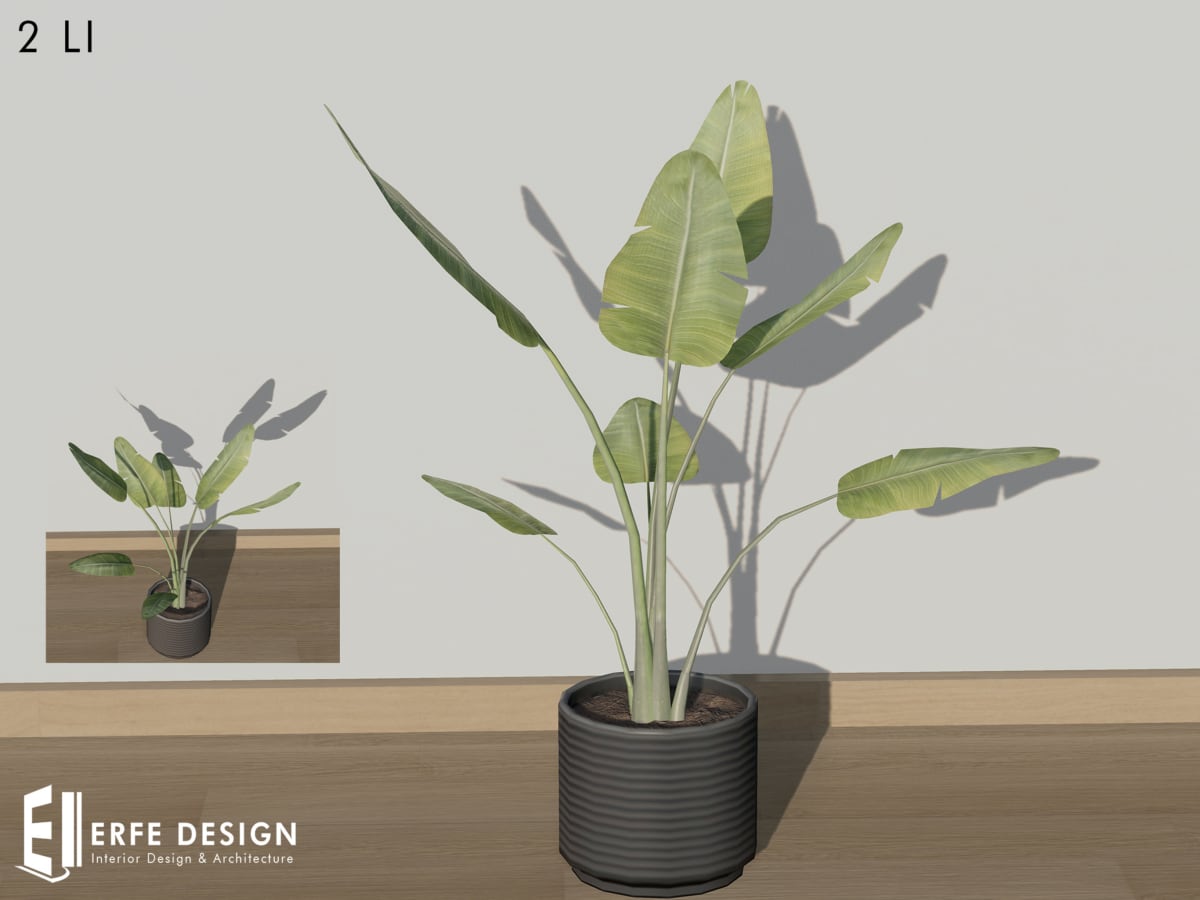 Home Decor Plant with pot-1 2LI  PACK