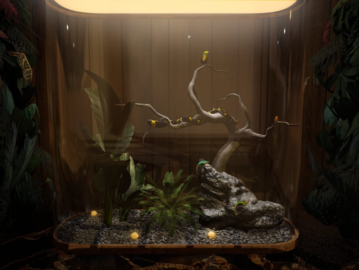 Jungle in House