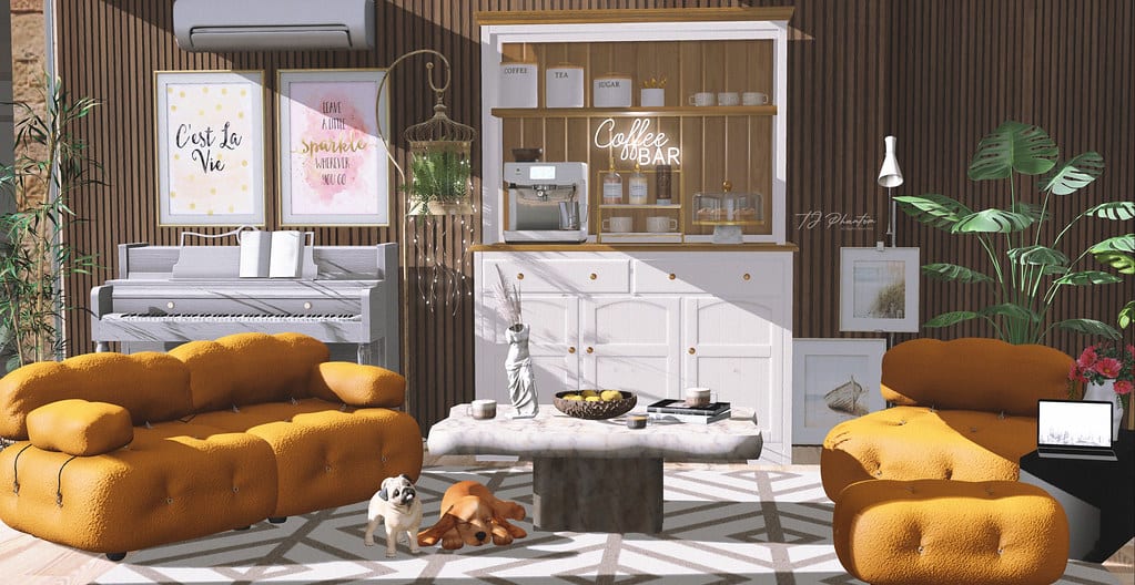 Coffee Bar, Panda Rain & the Gold Room