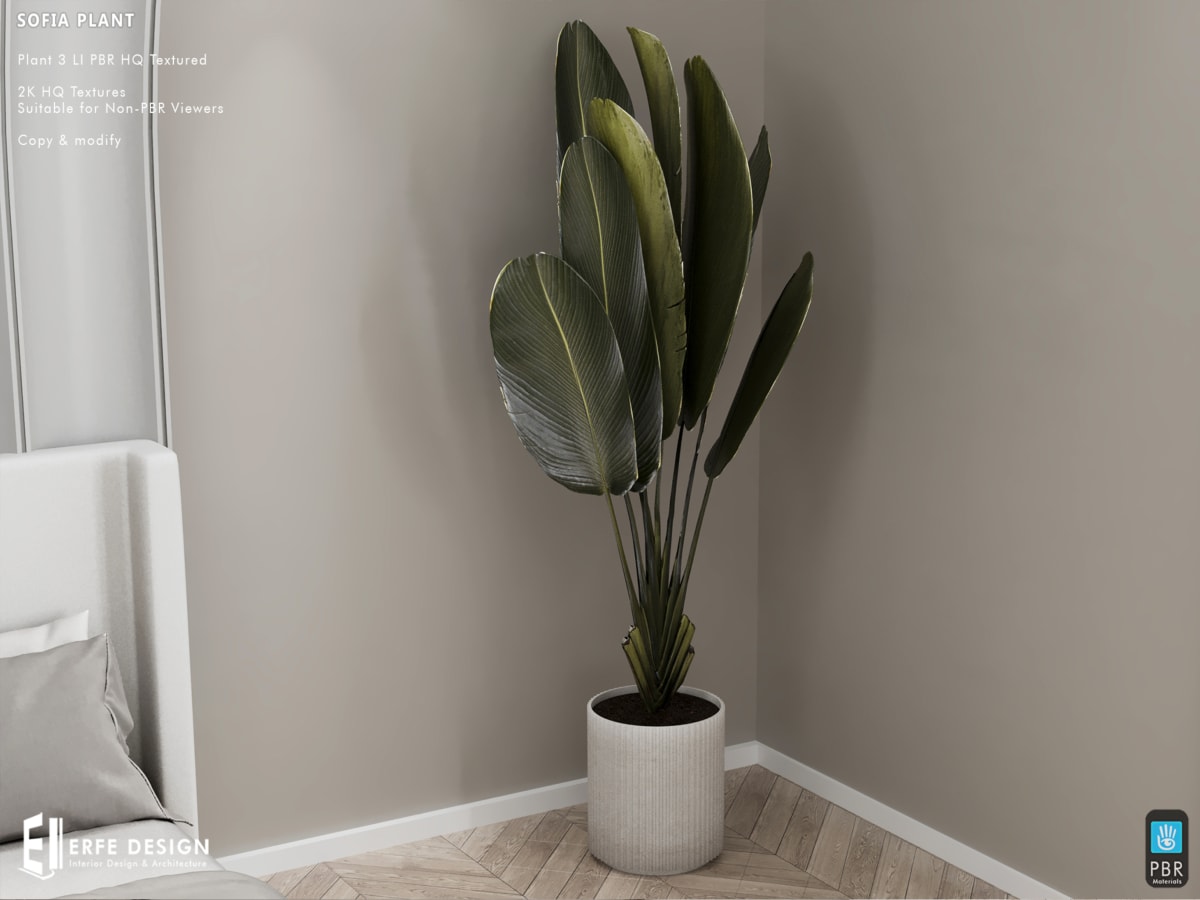 Sofia Plant PBR 3 LI
