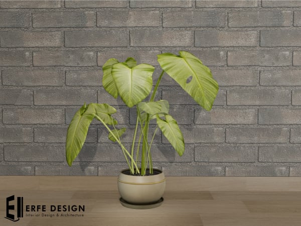 Amazon Plant 3 LI [Erfe Design]*