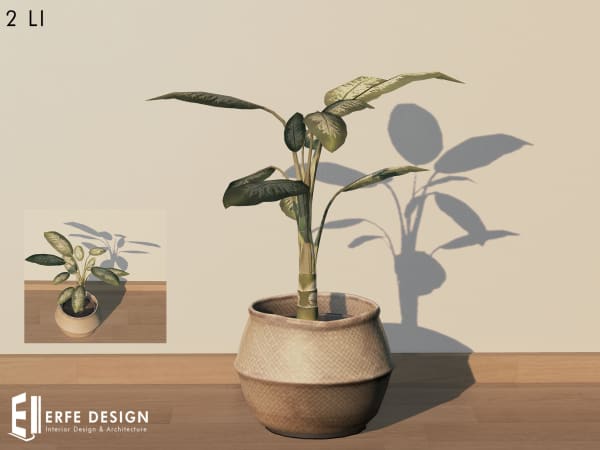 Home Decor Plant with pot-2 2LI [Erfe Design] *