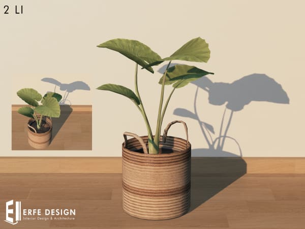 Home Decor Plant with pot-3 2LI [Erfe Design] PACK