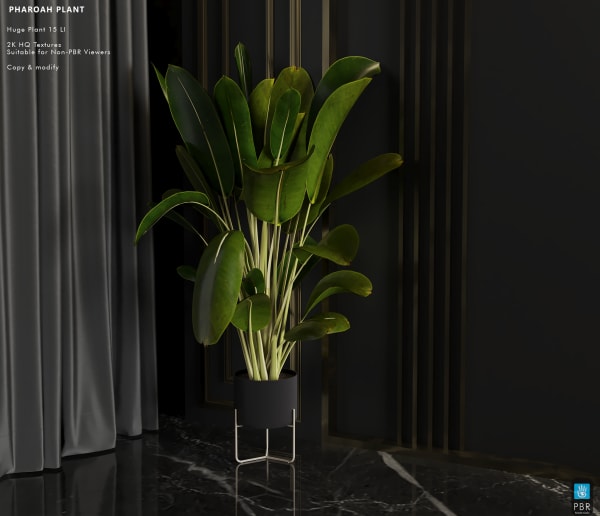 Pharoah Big Plant PBR 15 LI [Erfe Design] *