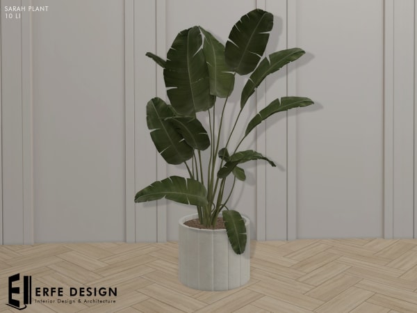 Sarah Plant 10 LI [Erfe Design] 