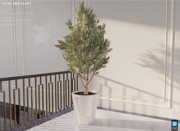 Olive Tree Plant 11 LI