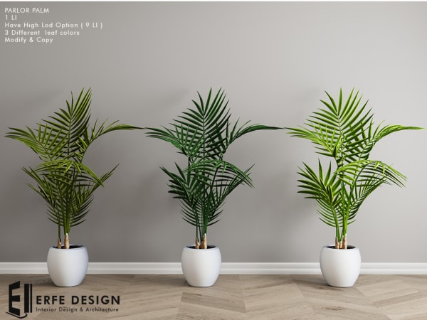 Parlor Palm HQ & Low LOD 3 Colored 1 LI [Erfe Design]*