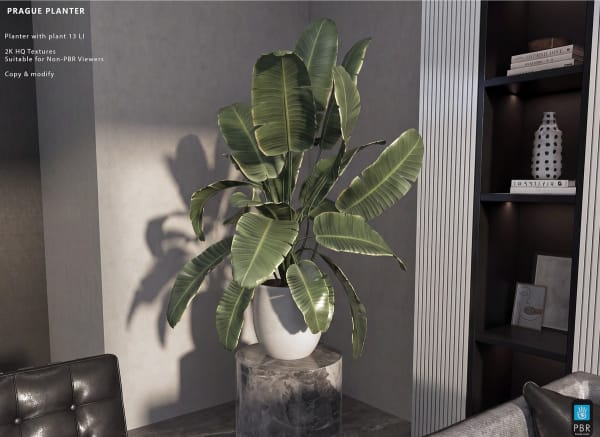 Prague Plant 7 LI