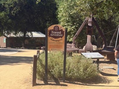Turtle Bay Exploration Park - Forest Adventure