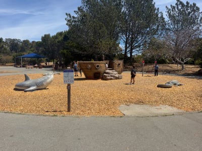 Beach Picnic Area Playground