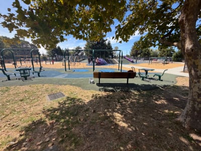Magic Mountain Playground