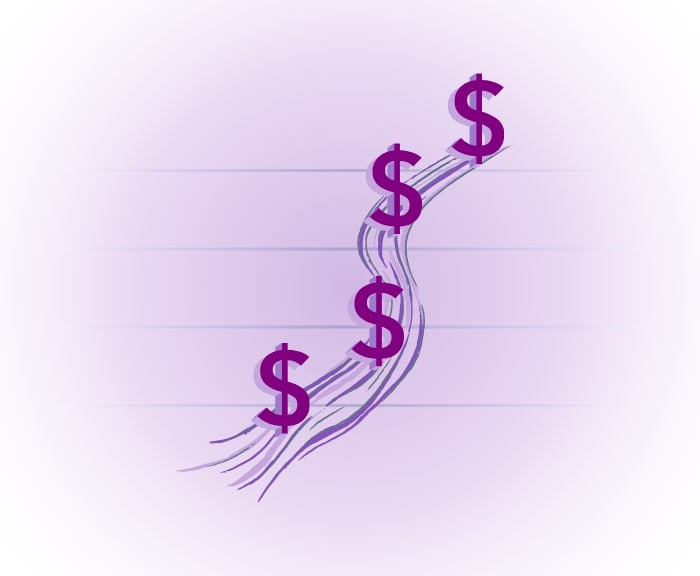 New Revenue Stream Development