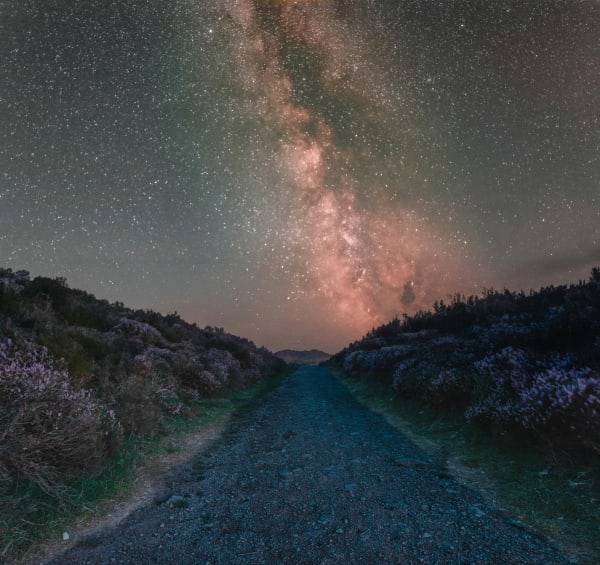 Midnight's Secret Heather Path