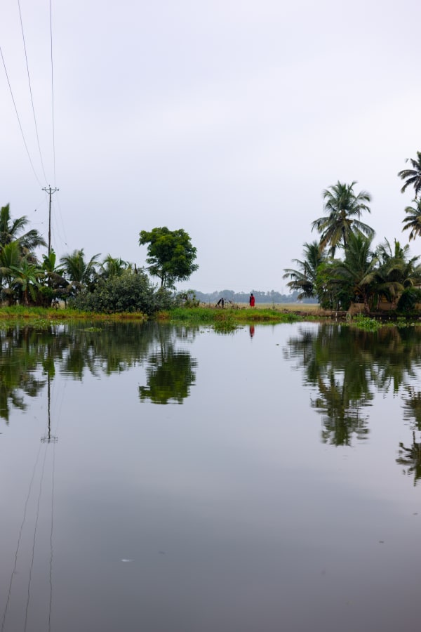 Symmetry in Kerala 