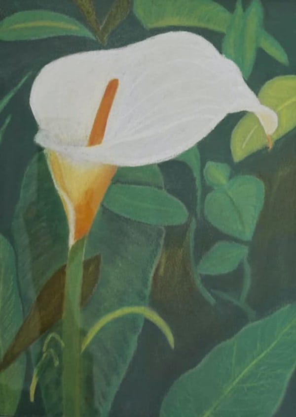 Lily