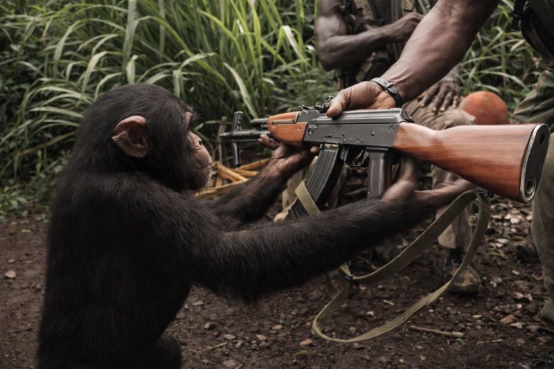 Bordeaux Airbnb Market Insights: Visual analysis of Q1 2026 trends including occupancy rates and pricing