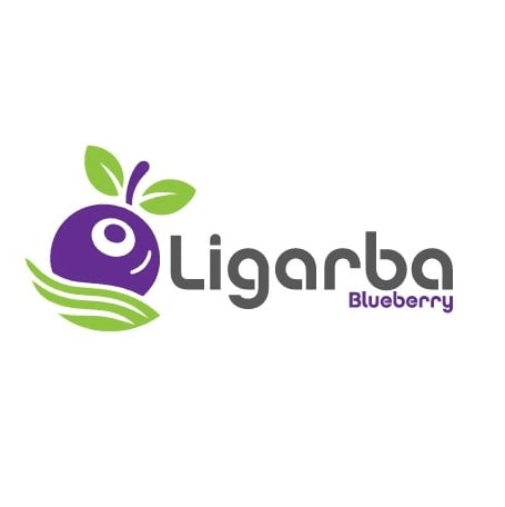 Ligarba Blueberry