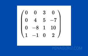 contoh soal matriks dan jawabannya kelas 11 22 k55anp - PenaGuru.Com