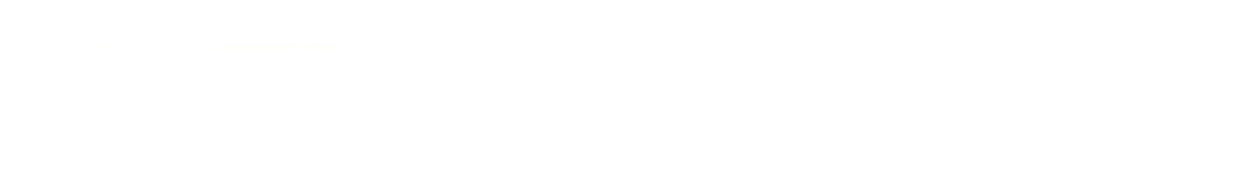 acl-strong-logo-horizontal-2-white