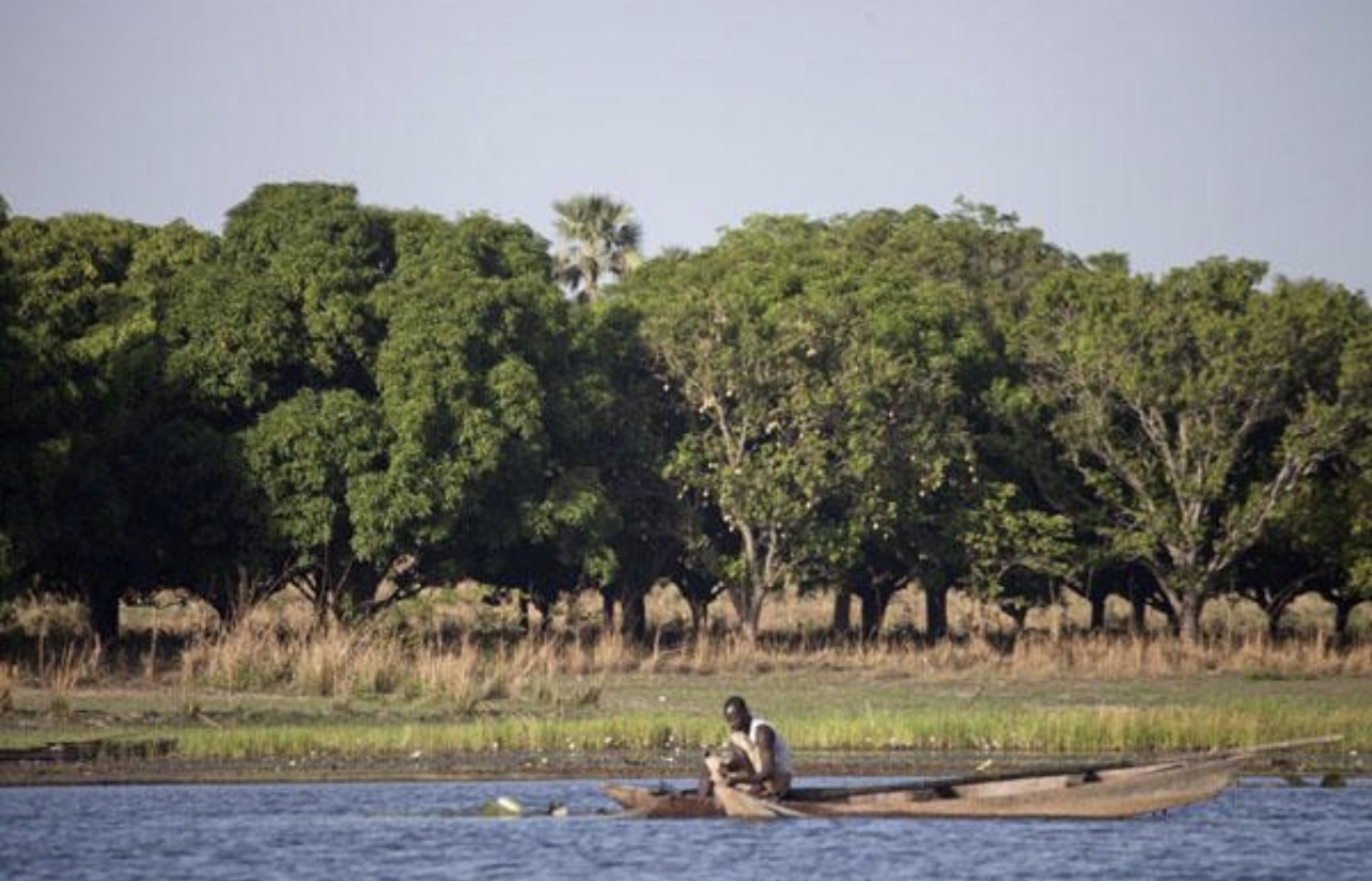 Le Lac de Tengrela : le royaume paisible des hippopotames du Burkina Faso