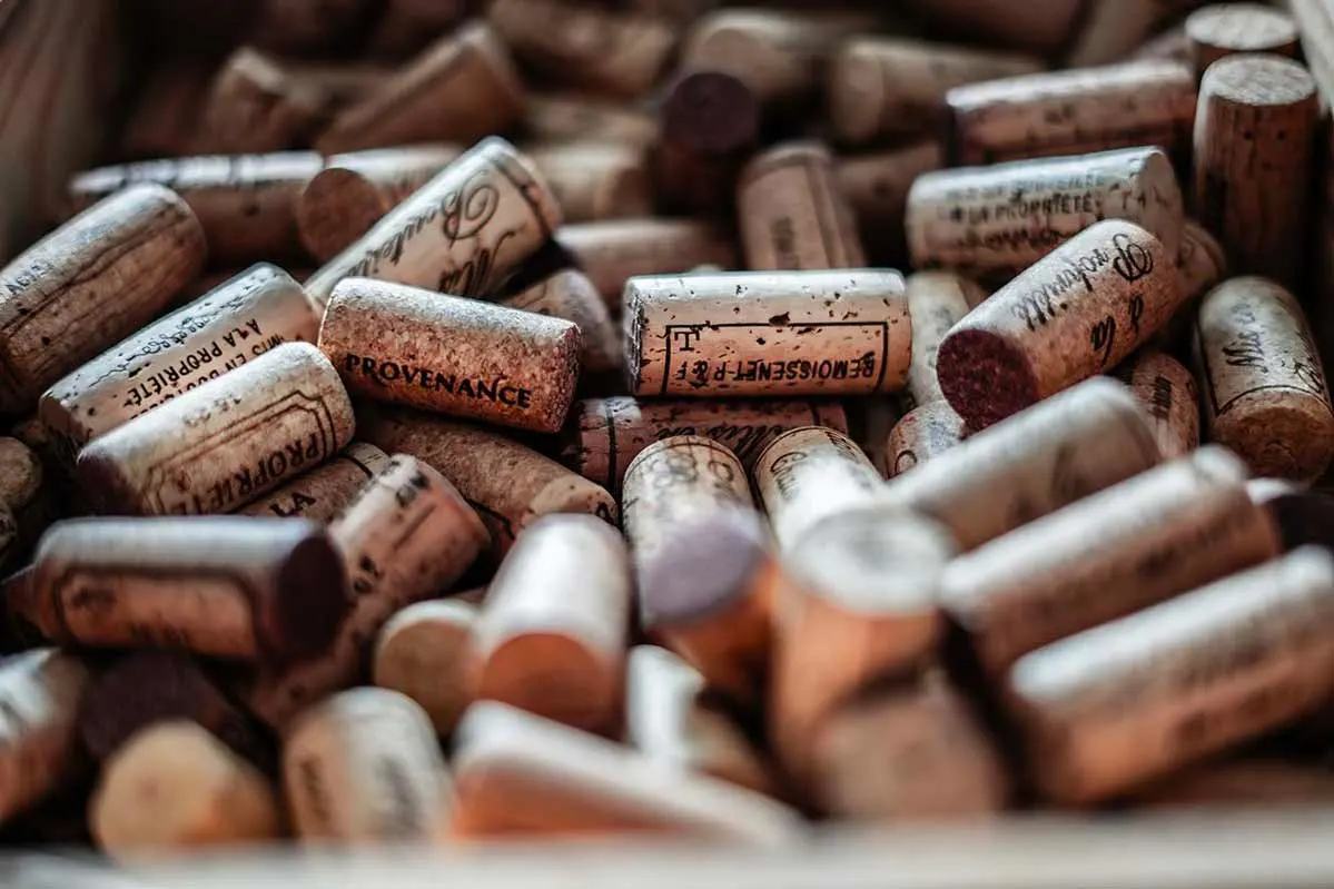 Bouchon de liège, photographie vins et terroir à Dijon