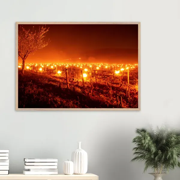 « Lumière matinale » – Photo premium encadré en bois de chêne et de frêne Photo d\'art déco d\'artiste auteur encadré en bois premium chêne frêne papier épais premium FSC