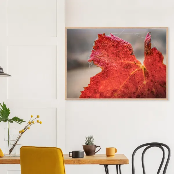 Un rouge de saison – Photographie premium encadré en bois naturel Photo d\'art déco d\'artiste auteur encadré en bois premium chêne frêne papier épais premium FSC