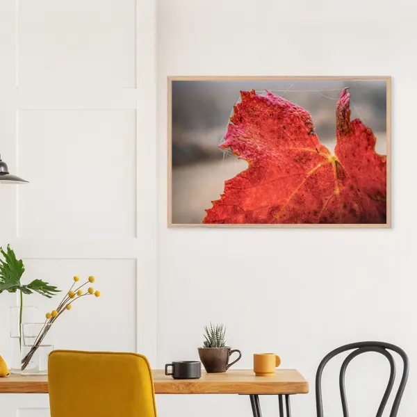 Un rouge de saison – Photographie premium encadré en bois naturel Photo d\'art déco d\'artiste auteur encadré en bois premium chêne frêne papier épais premium FSC