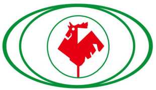 AnHui Hengchang New Material Co., Ltd - Matières premières, consommables & films pour l'emballage