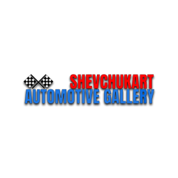SHEVCHUKART - Artist, art galleries
