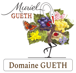 Domaine GUETH - Vins d'Alsace Bio - Boissons alcoolisées (Vins)