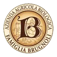 PARMIGIANO REGGIANO BIO BRUGNOLI - Produits de crèmerie