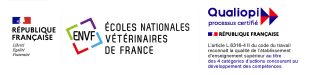 ENVF