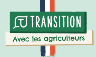 TRANSITION