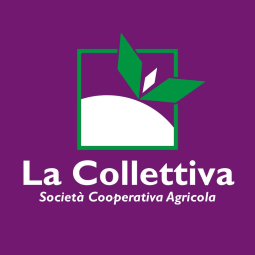 La Collettiva