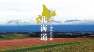 "Kita-no-Daizu" (Soybeans from the North)