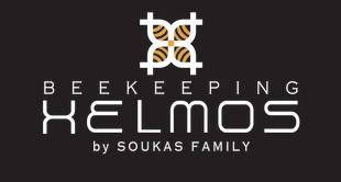 HONEY HELMOS