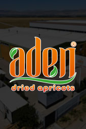 ADEN DRIED FRUITS