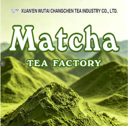 XUAN’EN WUTAI CHANGCHEN TEA CO.,LTD