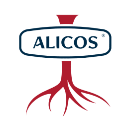 Alicos