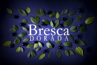 Bresca Dorada s.r.l.
