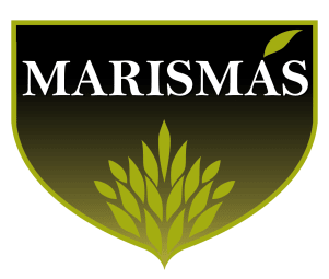 MARISMAS 