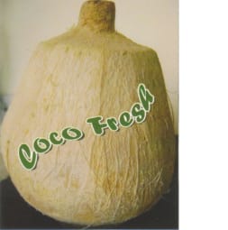 Madhura CocoFresh - Coconut Gratings (shredded coconut)