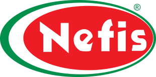 NEFIS  