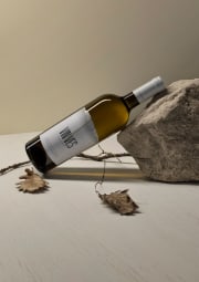 SAUVIGNON DEL MOLISE DOP BIANCO