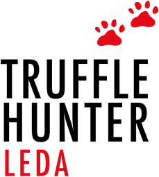 Truffle Hunter Leda 