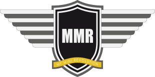 MY MINI REVOLUTION